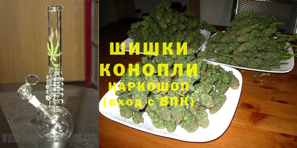 молекула духа Заводоуковск