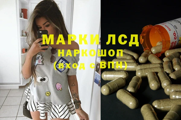 гидропоника Струнино