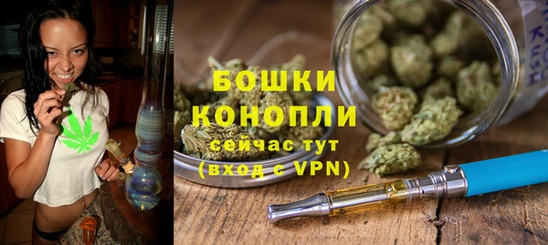 молекула духа Заводоуковск