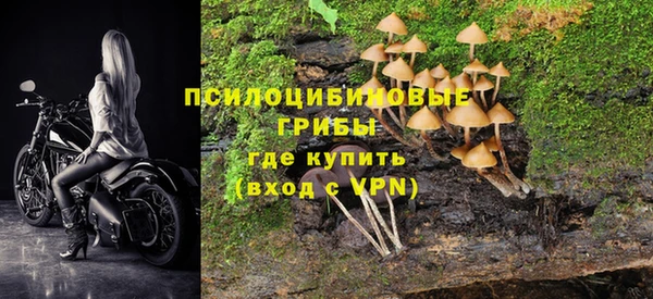 ECSTASY Зеленокумск